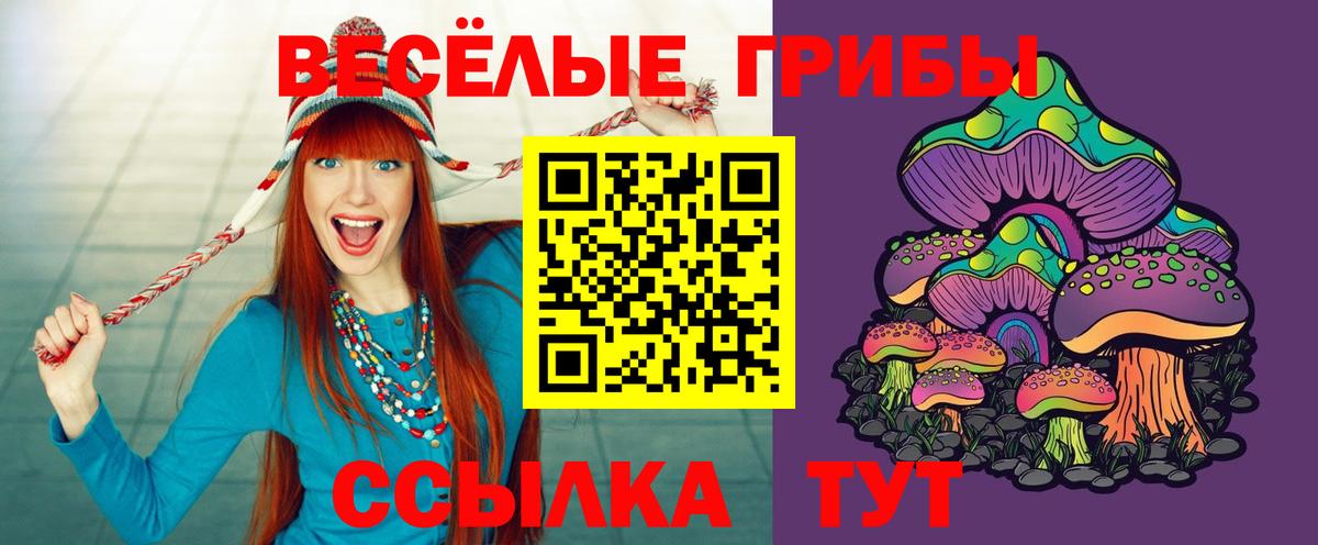 Ессентуки  Галлюциногенные грибы GOLDEN TEACHER  Псилоцибиновые грибы Psilocybine cubensis  Вход с VPN 