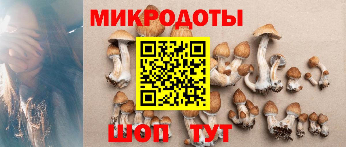 Галлюциногенные грибы GOLDEN TEACHER Ессентуки